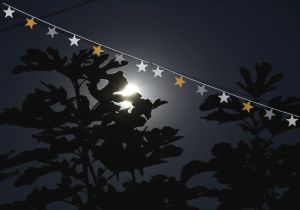 mesec i zvezde anine price