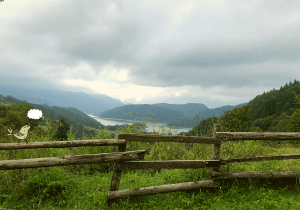 planina tara volim srbiju domaci turizam istrazi srbiju serbia mountin tourism