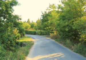 seoski put sumadija priroda selo zelenilo anine price